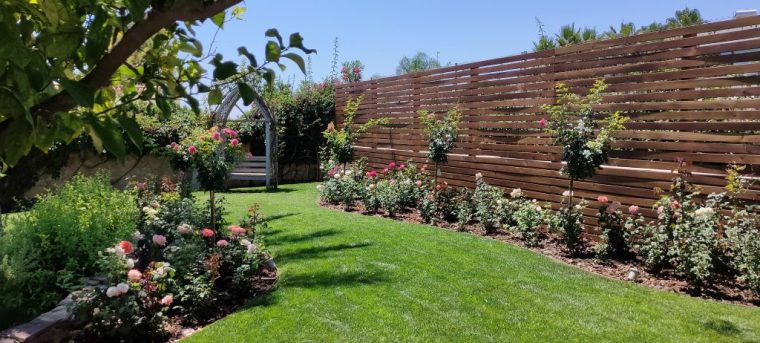 Rosales En El Jardín, Cuidados Necesarios – Jardines Con Vida à Flores En El Jardin