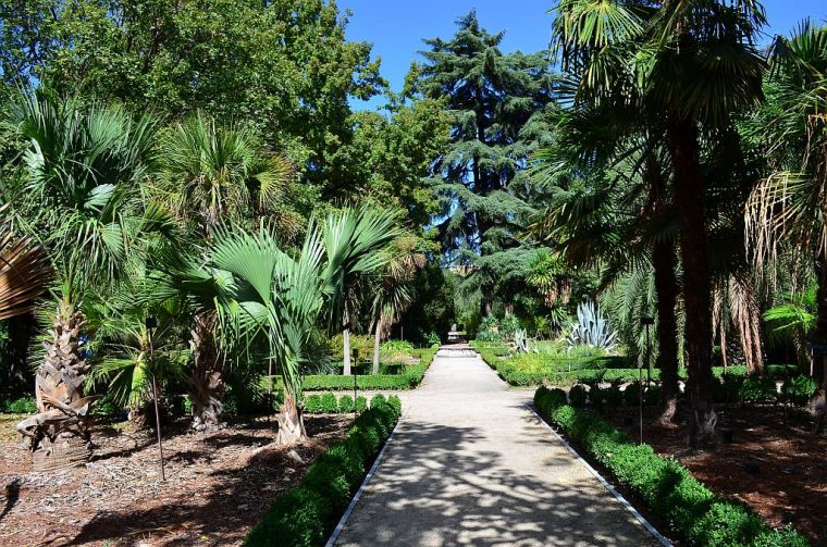 Royal Botanical Garden Of Madrid – Nerja Rob Nature dedans Jardin Botánico Madrid