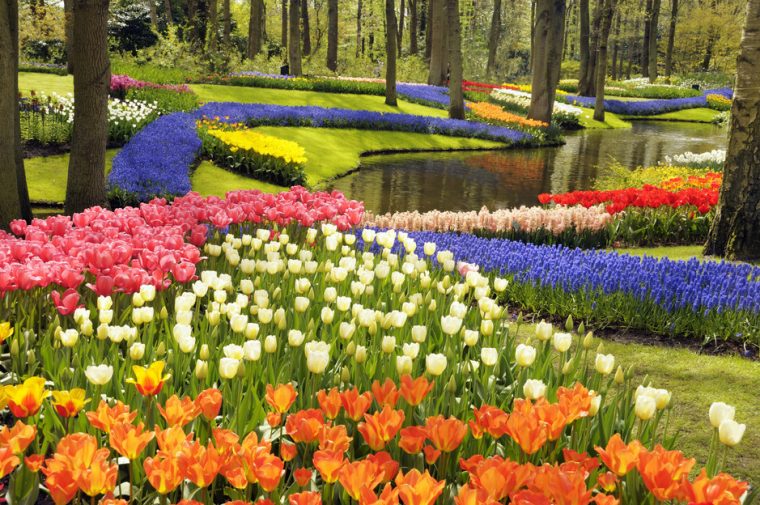 Siente Más Cerca La Primavera, Jardines Botánicos Del … tout Jardines Del Mundo Fotos