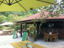 Terraza - Picture Of Cafeteria Jardin Botanico La ... encequiconcerne Restaurante Jardin Botanico