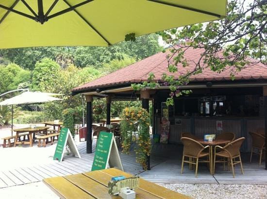Terraza – Picture Of Cafeteria Jardin Botanico La … encequiconcerne Restaurante Jardin Botanico