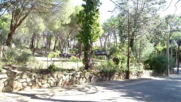 Terreno En Venta En San Martín De Valdeiglesias, Cuenca … intérieur Jardin San Martin De Valdeiglesias