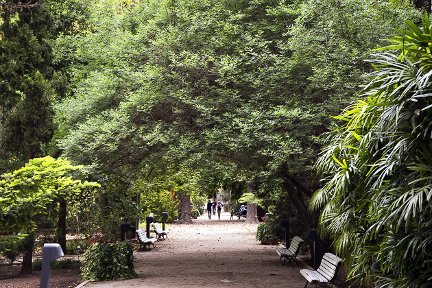 The Jardín Botánico De Valencia - For 91 Days Valencia ... intérieur Jardin Botanico De Valencia