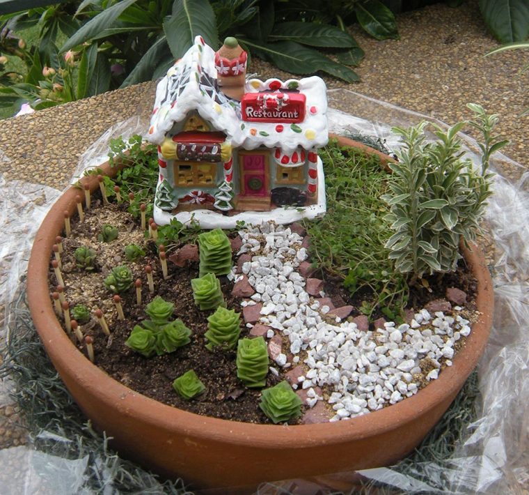 Tiempo Jardin: Jardin En Miniatura tout Jardines En Miniatura