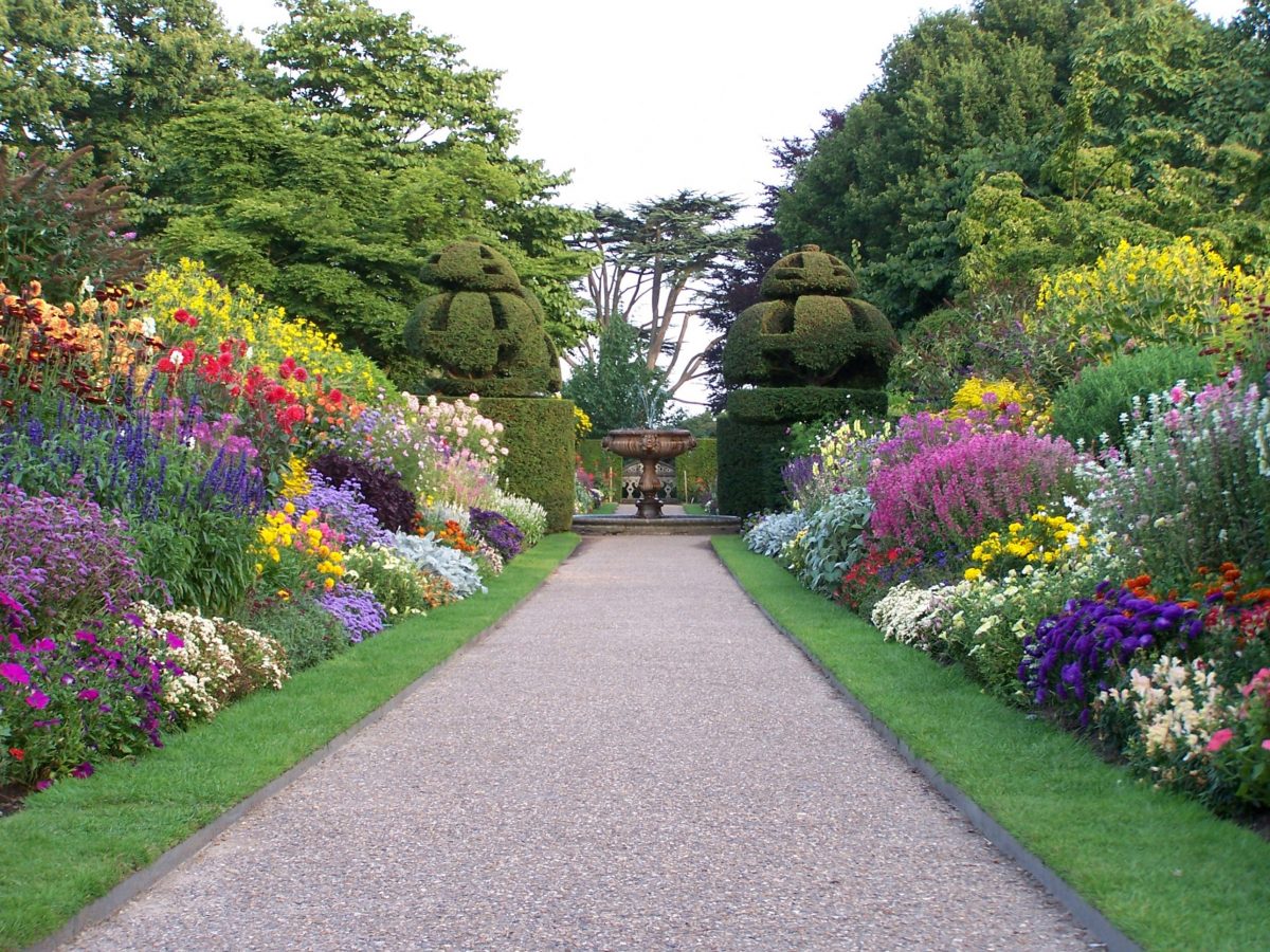 Top 10 Arbustos Con Flores En Tu Parque - Parques Alegres ... dedans Flores Para Jardines