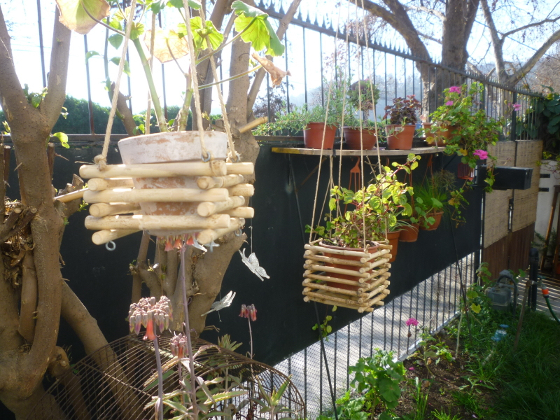 Trabajos Manuales: Jardín intérieur Veneno Para Hormigas De Jardin