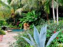 Tropical Landscape Garden Design Miami- Knoll Landscape destiné Jardin Tropical Plantas