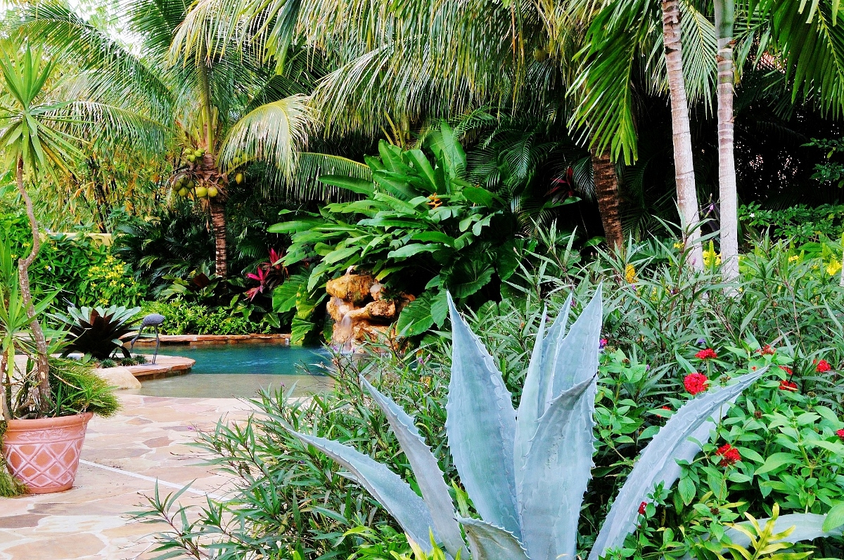 Tropical Landscape Garden Design Miami- Knoll Landscape destiné Jardin Tropical Plantas