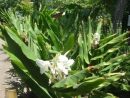 Trujillo: Disminuirán Tarifa Para Ingresar A Jardín ... destiné Jardin Botanico Tarifas