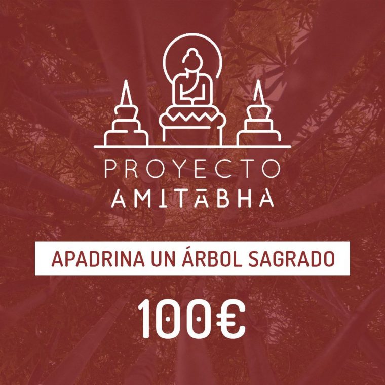 Un Árbol Sagrado – Mahasandhi tout El Jardin Del Eden Murcia