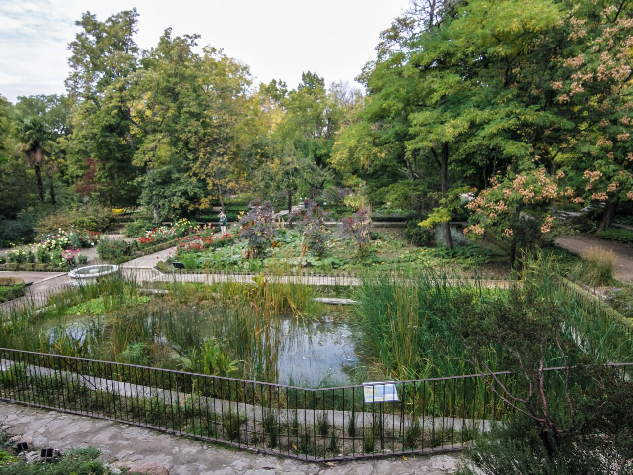 Un 'Estanque-Laboratorio' En El Jardín Botánico | Madridiario destiné Real Jardin Botanico