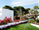 Un Jardín Con Vistas. Diseño De Jardín Mediterráneo En ... pour Jardines Mediterraneos