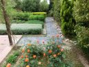 Un Jardín De Rosales Y Arbustos | Página 15 pour Jardines Con Rosales