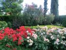 Un Jardín De Rosales Y Arbustos | Página 8 intérieur Jardines Con Rosales