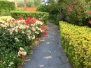 Un Jardín De Rosales Y Arbustos | Página 8 intérieur Jardines Con Rosales
