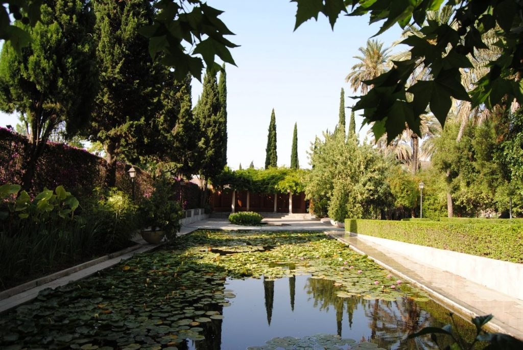 Una Visita Al Jardín Botánico De Málaga pour Jardin Botanico De La Concepcion