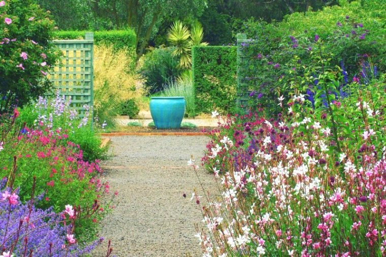 Uso De Plantas Silvestres En El Jardín Para Crear Un … tout Flores Para El Jardin