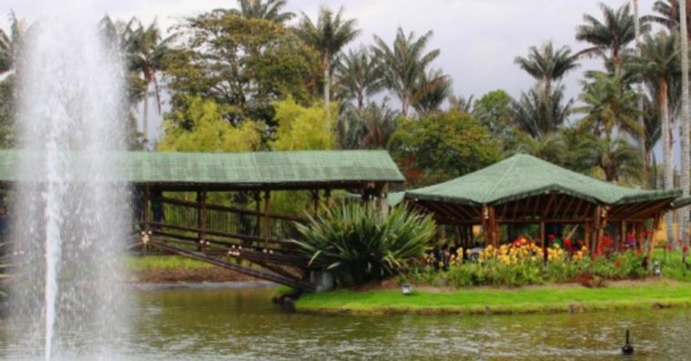Vacaciones Recreativas En El Jardín Botánico | Noticias … pour Jardin Botanico Bogota
