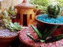 Venta Mini Jardin En Nicaragua | Jardines En Miniatura ... destiné Venta Plantas Jardin