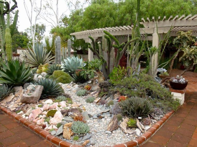 Ventajas Y Desventajas De Los Cactus Y Las Plantas Suculentas dedans Jardines De Plantas
