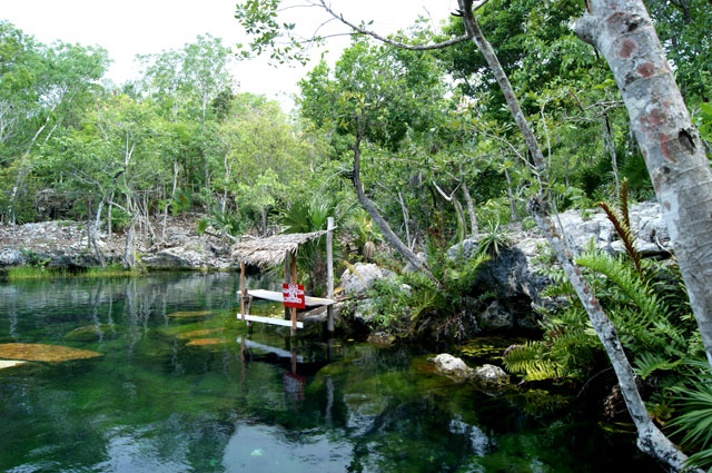 Viajerosustentable » Blog Archive » Cenote Jardín Del Edén ... pour Los Jardines Del Eden
