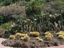Viera Y Clavijo Canarian Botanical Garden: Gardens In ... concernant Jardin Canario Tafira
