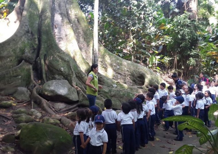 Visita Al Jardín Botánico | Colegio Franciscano Del Virrey … serapportantà Colegio Jardin Botanico