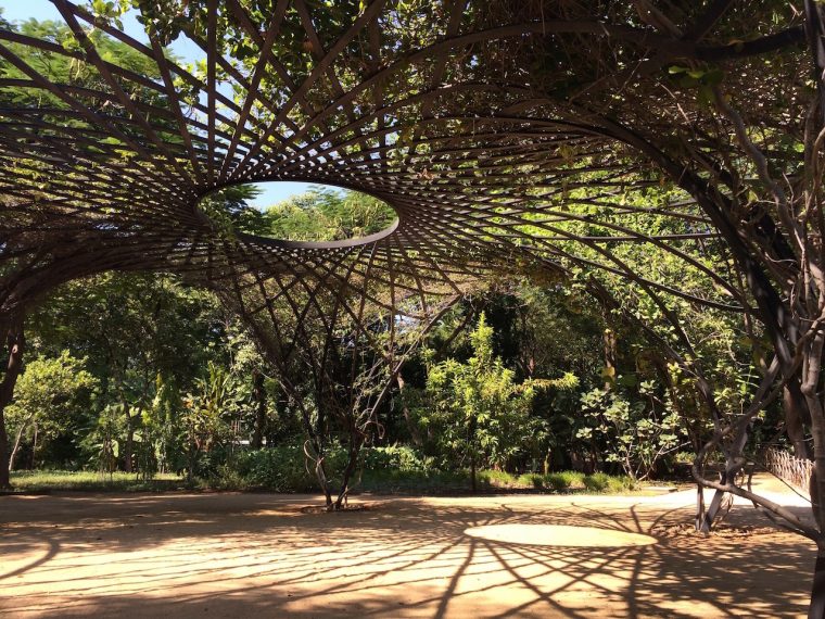 Visitando El Jardín Botánico De Culiacán – Designaholic avec Plantas De Jardin Botanico