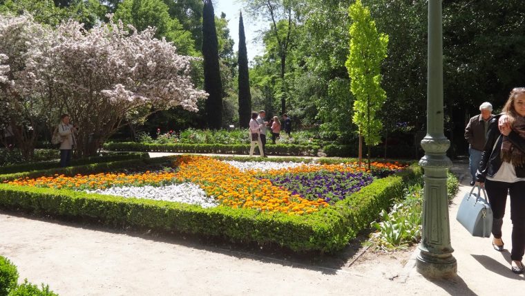 Vsitando El Real Jardín Botánico De Madrid … à Real Jardín Botánico