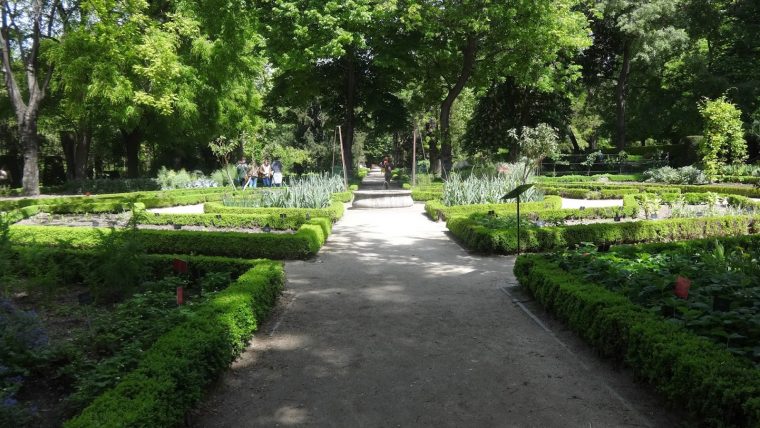 Vsitando El Real Jardín Botánico De Madrid … destiné Real Jardin Botanico De Madrid