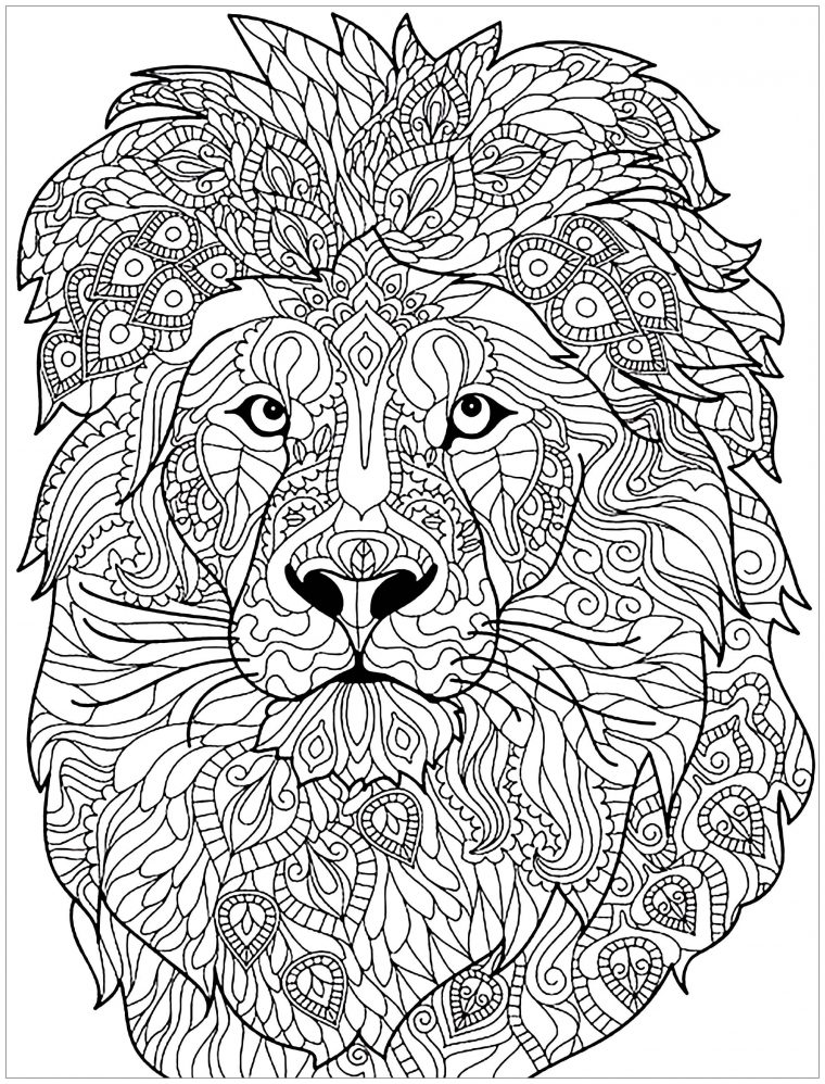 lion à colorier