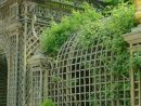 Cerises | Treillis Jardin, Beaux Jardins, Jardin D'Hiver dedans Voute En Treillis