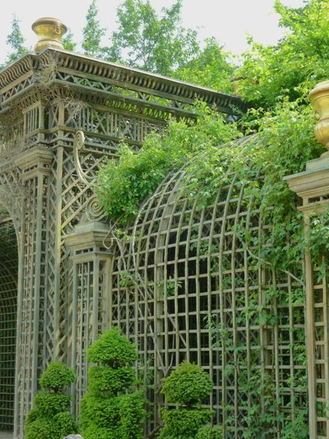 Cerises | Treillis Jardin, Beaux Jardins, Jardin D'Hiver dedans Voute En Treillis
