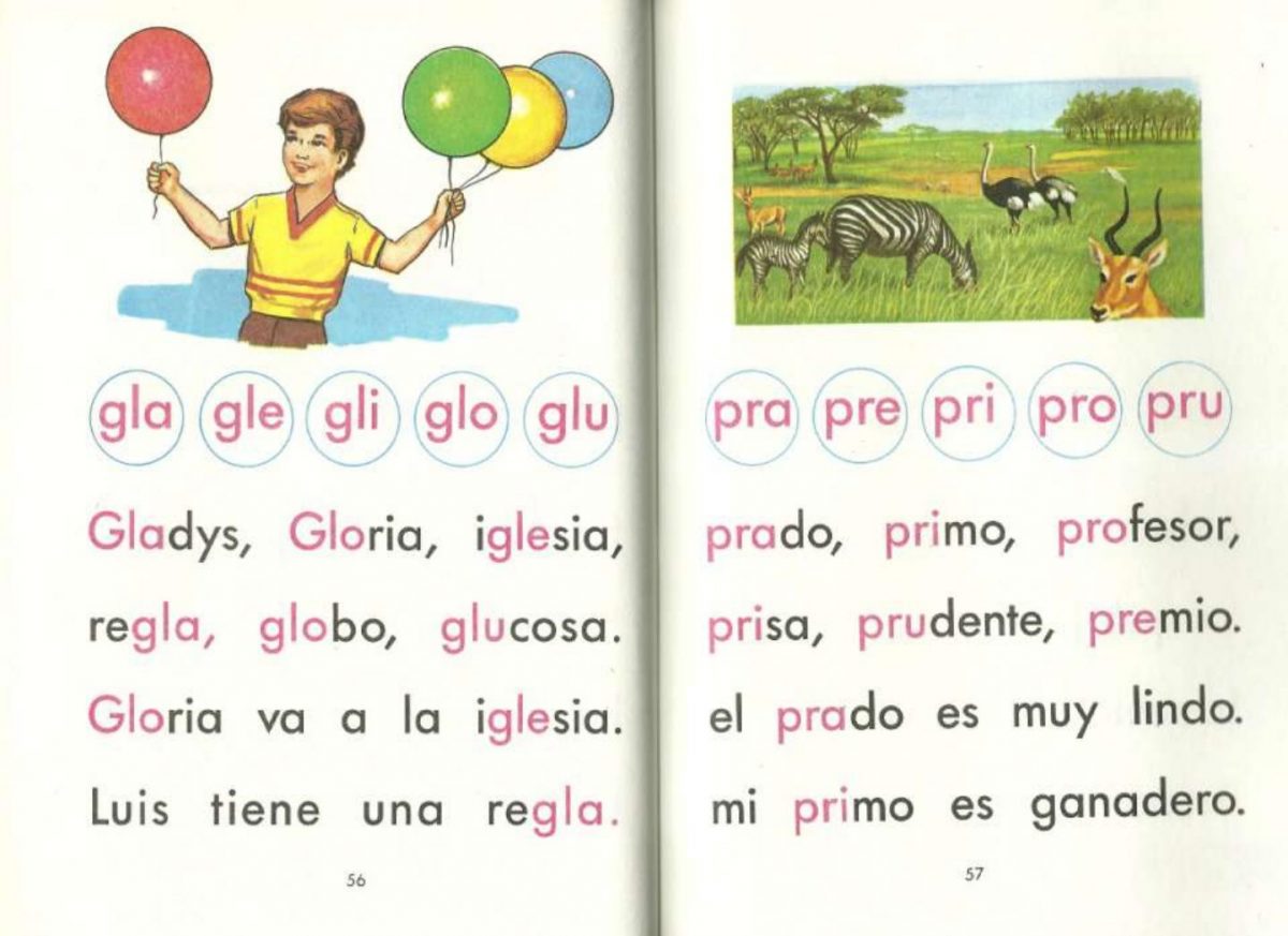 El Libro Mi Jardin - Mi Jardin Editorial Pipala destiné Libro Mi Jardin