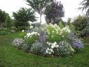 Roses Du Jardin Chêneland: Création D'Un Massif En Bleu Et ... destiné Creer Un Massif Avec De La Cordyline