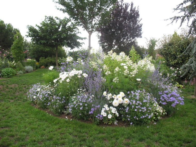 Roses Du Jardin Chêneland: Création D'Un Massif En Bleu Et … destiné Creer Un Massif Avec De La Cordyline