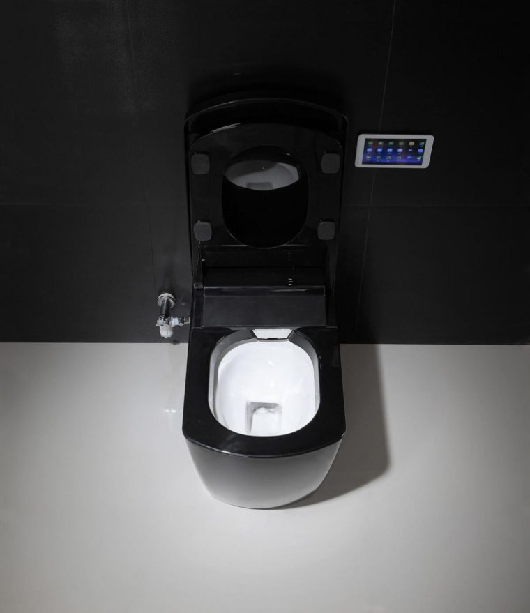 toilette japonaise leroy merlin
