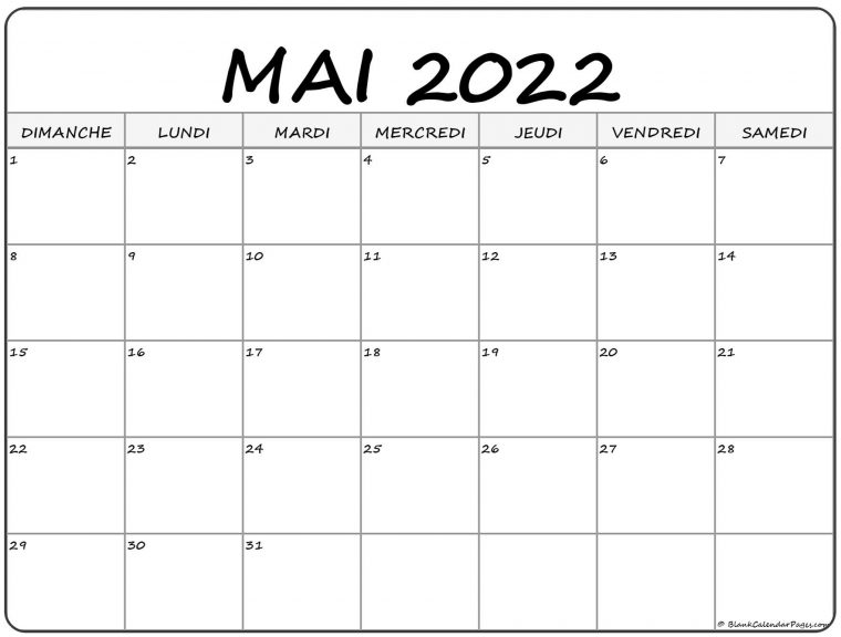 simpson 5 mai 2022