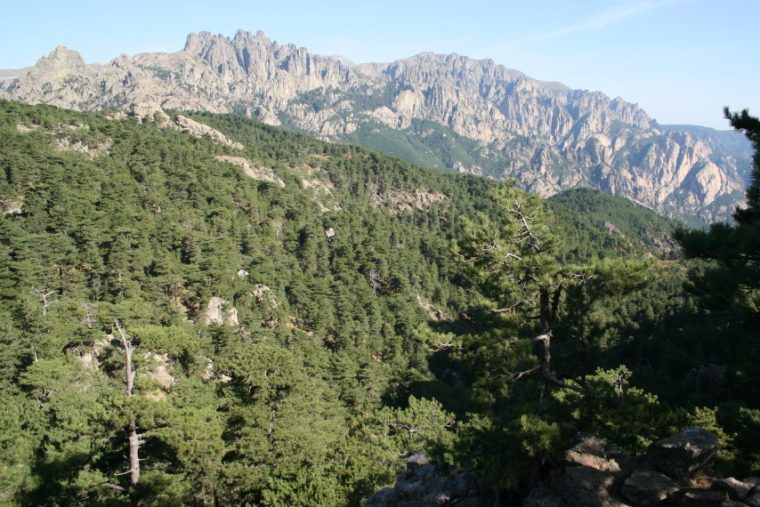 Around Col De Bavella, Corsica: Southern Mountains, France I Best World … avec Table Bavella
