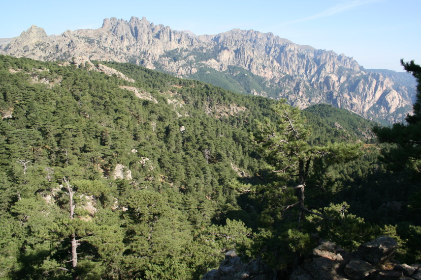 Around Col De Bavella, Corsica: Southern Mountains, France I Best World ... avec Table Bavella