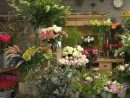 Artisan Fleuriste À Fontainebleau - Jardins Et Fleurs (77) - Livraison ... tout Salon De Jardin Leclerc Click And Collect