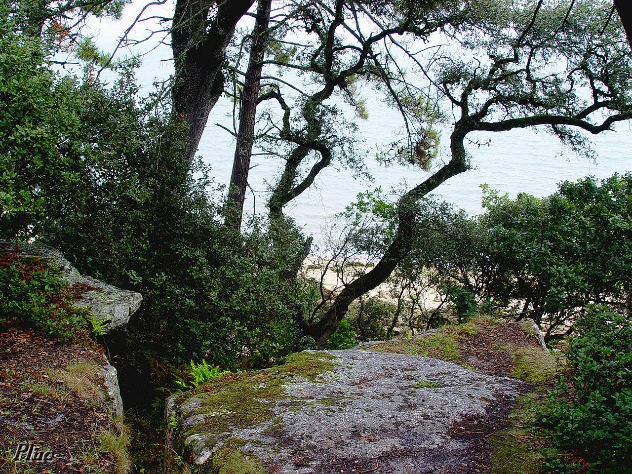 Bois De La Chaize, Noirmoutier; Bord De Mer dedans Centeacord Chaize De Jardin