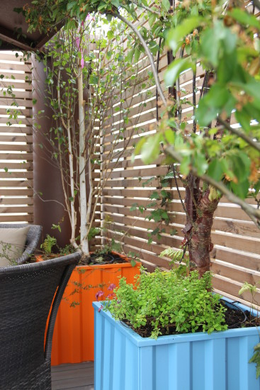Est-Il Possible De Planter Des Arbres Sur Une Terrasse avec Salon De Jardin Castorama Près De Chez Moi