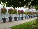 Le Blog De Parcs Et Jardins De L'Oise: Le Jardin Des Plantes D'Amiens avec Salon De The Pres Du Jardin Des Plantes