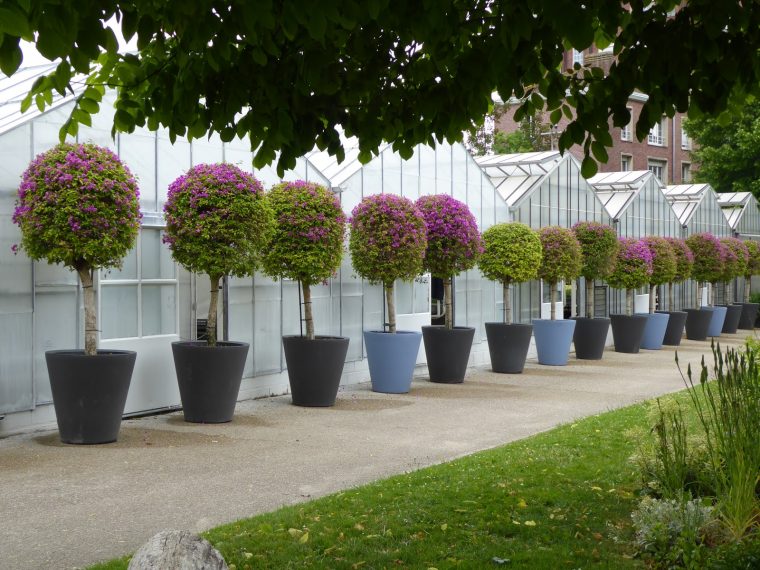 Le Blog De Parcs Et Jardins De L'Oise: Le Jardin Des Plantes D'Amiens avec Salon De The Pres Du Jardin Des Plantes
