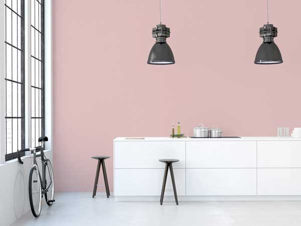 Peinture Mur Cuisine Rose - Atwebster.fr - Maison Et Mobilier destiné Decoration Interieure Salon Jusque Quelle Distance