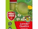 Protect Garden Universal Rasenunkrautfrei Loredo Quattro | Braun-Großhandel tout Loredo Quattro