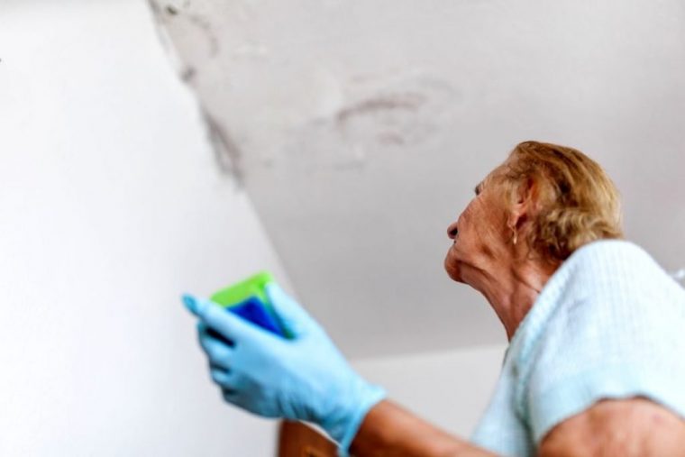 Réparer Et Repeindre Un Plafond Après Une Fuite D'Eau à Décoration Murale À Cause De L&#039;Eau