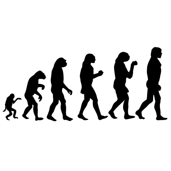 image evolution homme