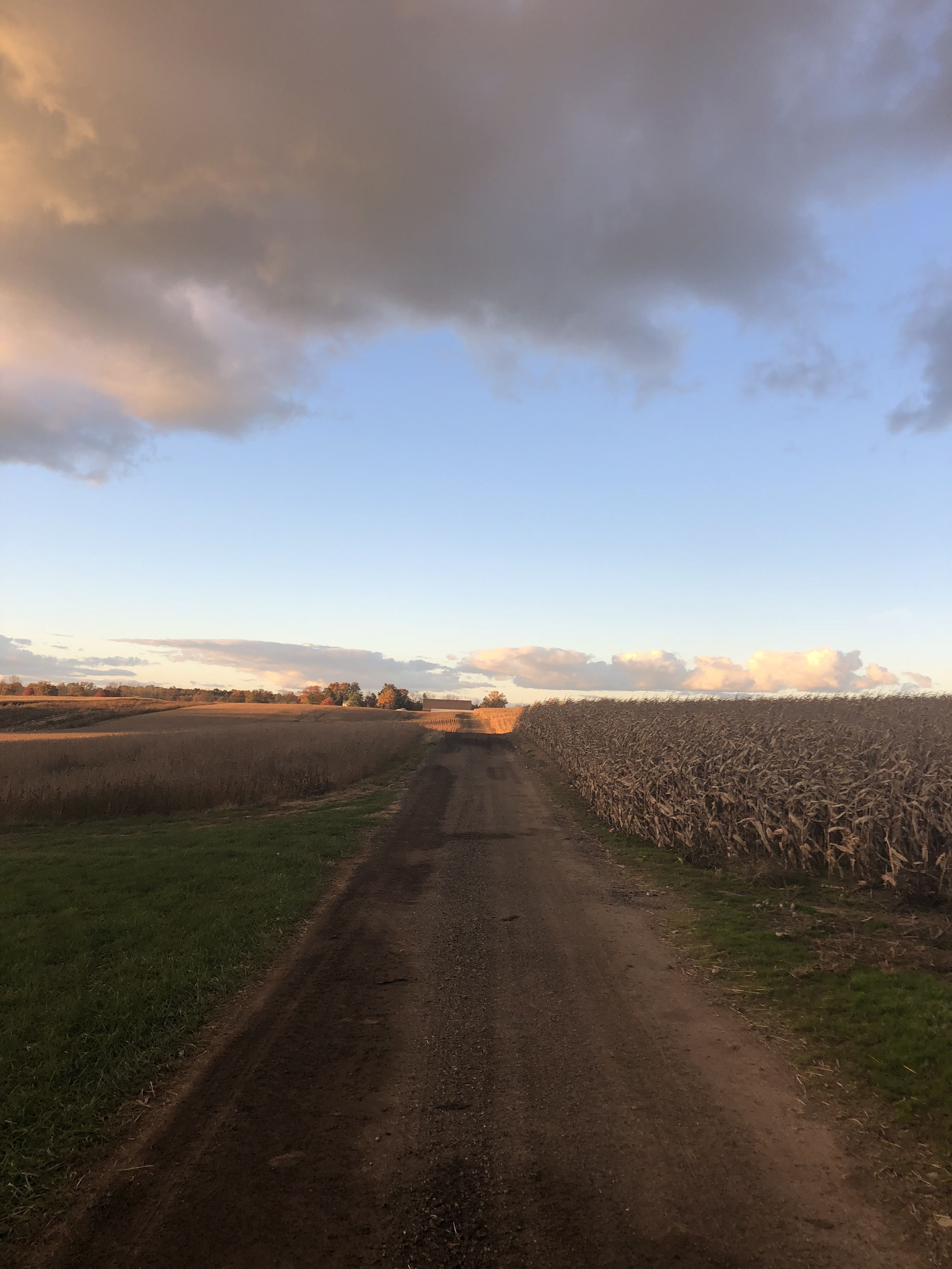 #farm #october #november #aesthetic | Scenery, Farm life, Nature